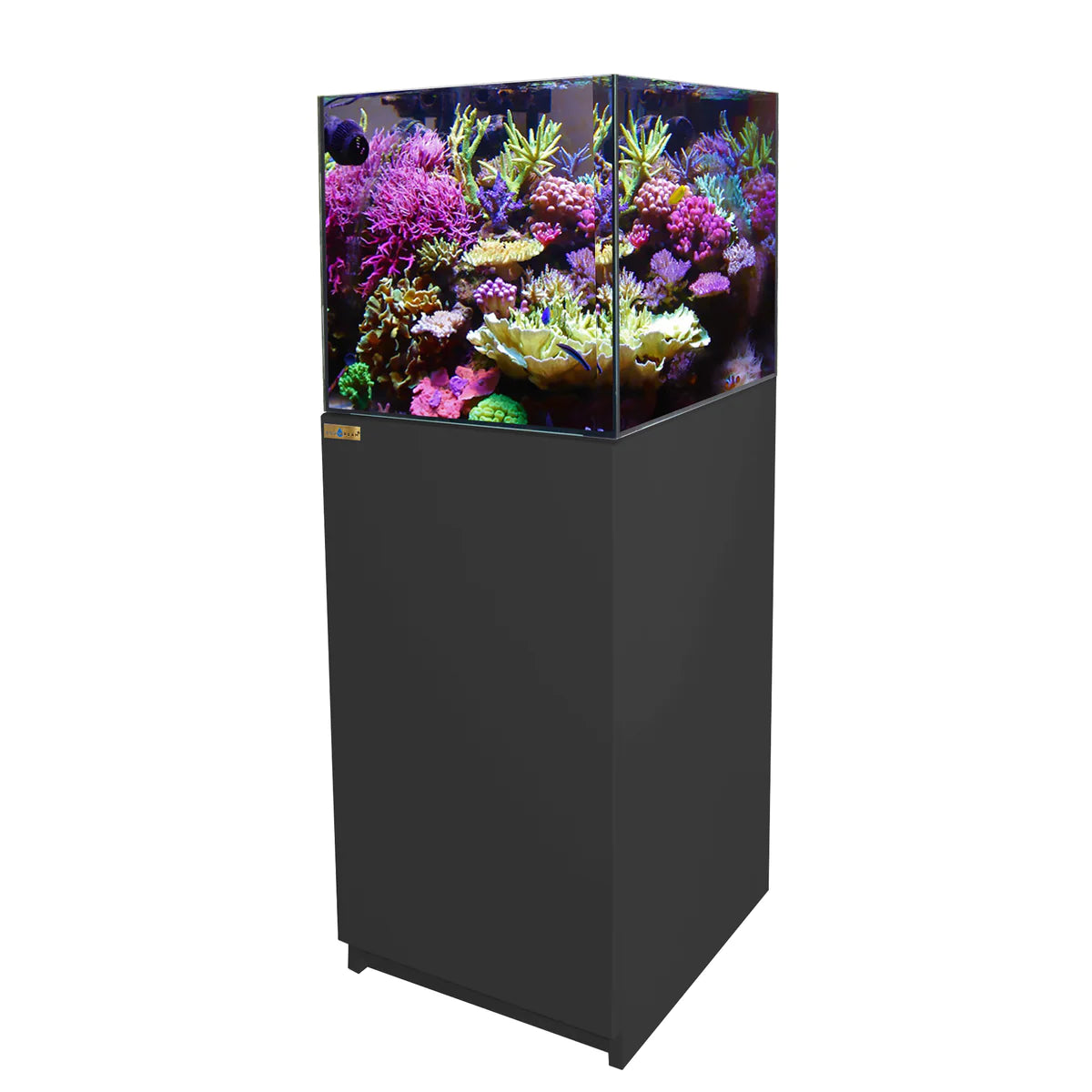 Aqua Dream 63 Gallon Coral Reef Aquarium Ultra Clear Glass Tank & Built in Sump All Black REEF-600-BK - Serenity Provision