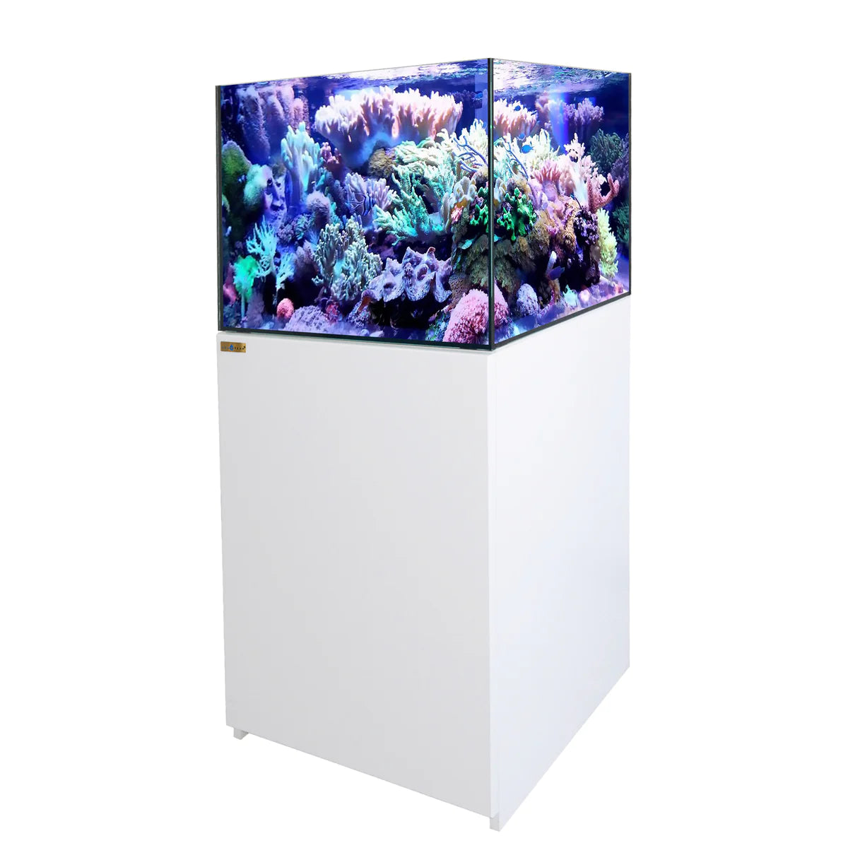 Aqua Dream 90 Gallon Coral Reef Aquarium Ultra Clear Glass Tank & Built in Sump All White REEF-800-WT - Serenity Provision