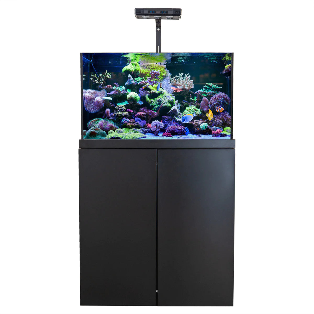 Aqua Dream 90 Gallon Coral Reef Aquarium Tempered Glass Fish Tank Complete Set Black REEF-860-ABK - Serenity Provision