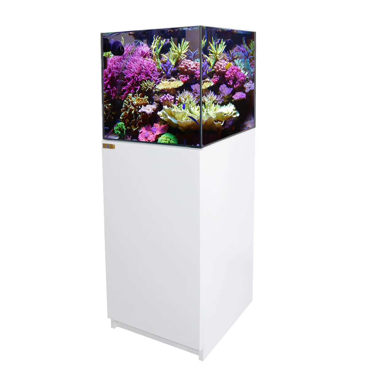 Aqua Dream 37 Gallon Coral Reef Aquarium Ultra Clear Glass Tank & Built in Sump All White REEF-450-WT - Serenity Provision