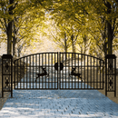 20x8 ft Dual Swing Driveway Gate with Ornamental Posts