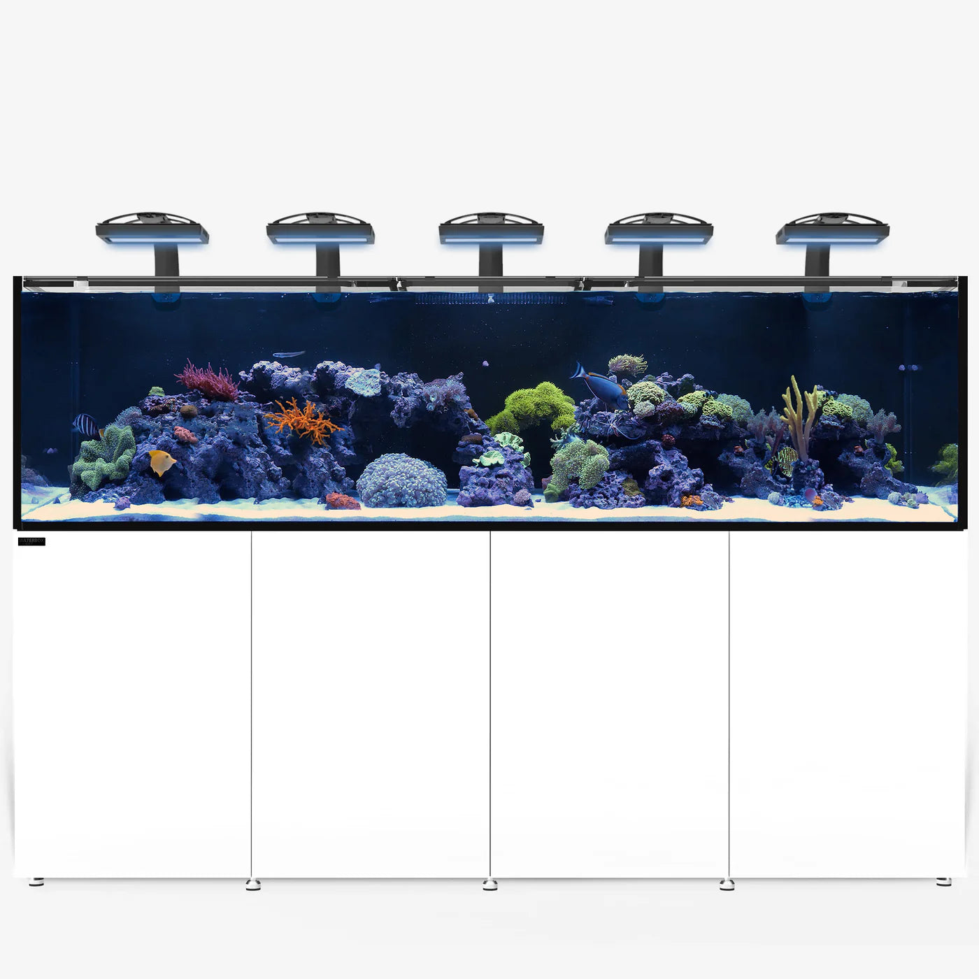 Waterbox Reef LX 380.8 Saltwater Aquarium - D4020 - Serenity Provision