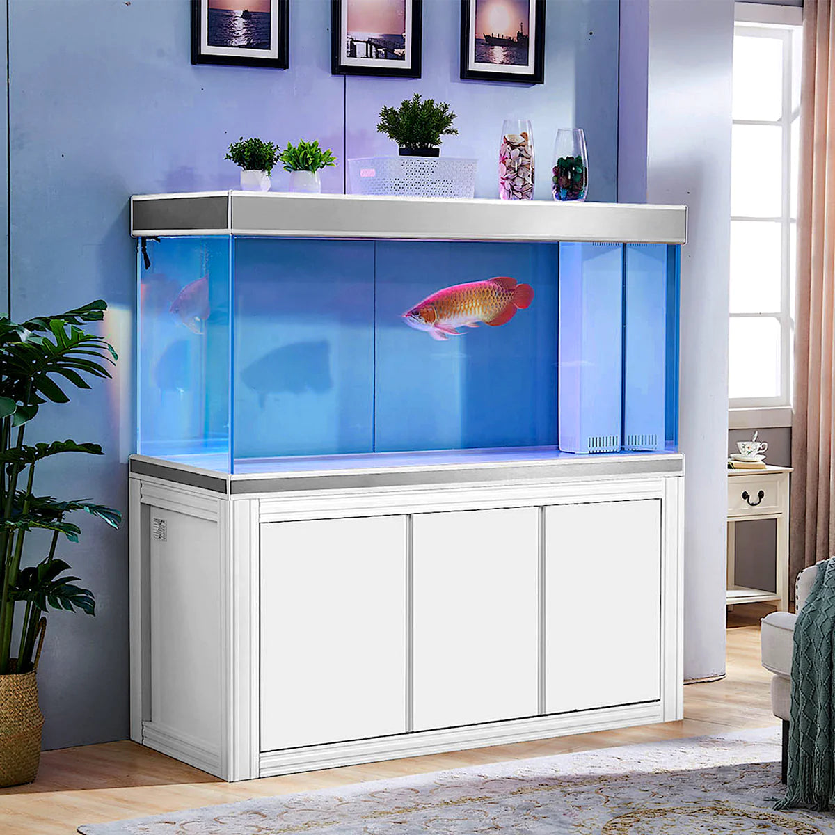 Aqua Dream 200 Gallon Tempered Glass Aquarium White and Silver AD-1560-WS - Serenity Provision