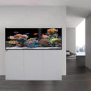 Aqua Dream 185 Gallon Coral Reef Aquarium Ultra Clear Glass Tank & Built in Sump All White REEF-1500-WT - Serenity Provision