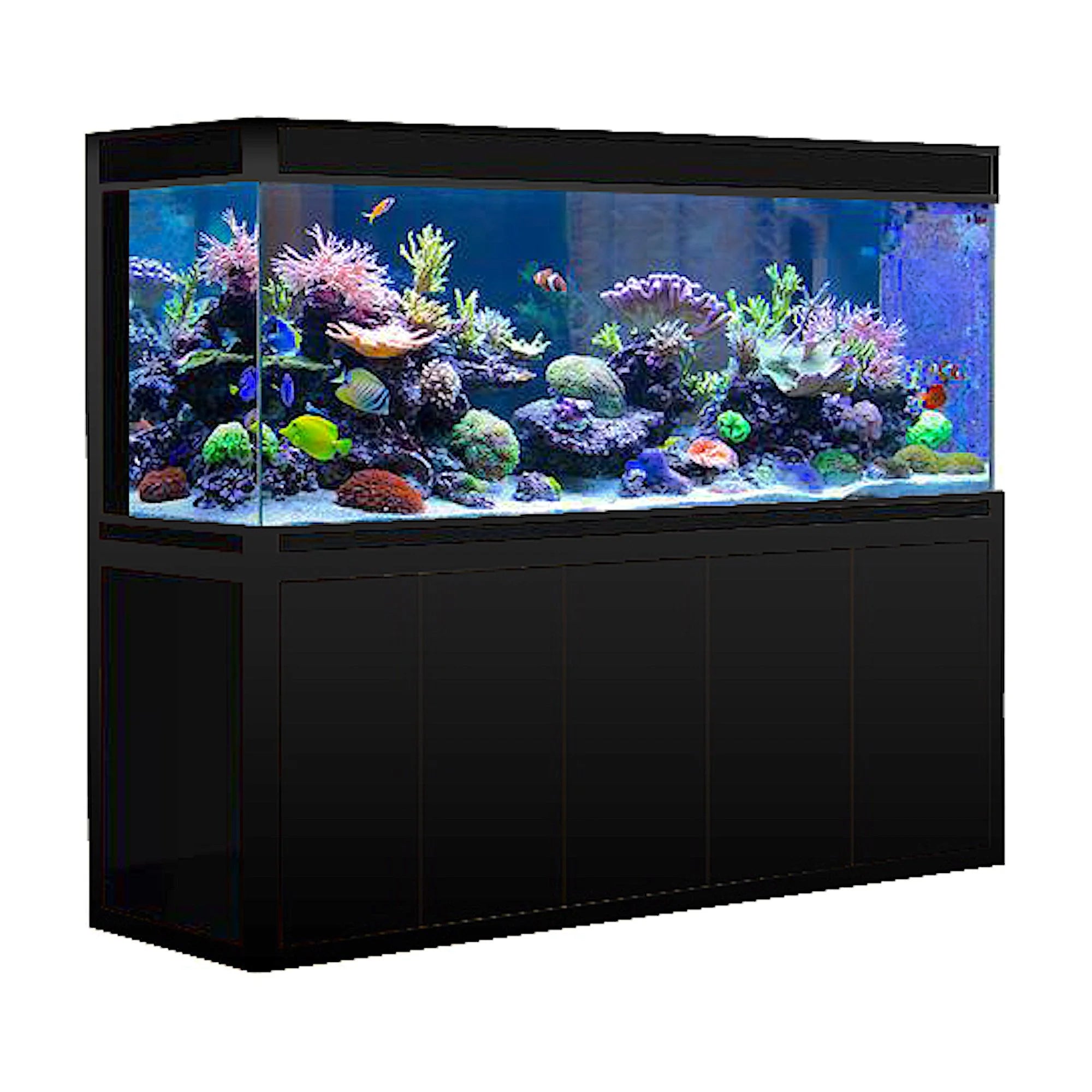 Aqua Dream 260 Gallon Tempered Glass Aquarium Black Premium AD-1980-BP - Serenity Provision