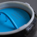 Echo Water Pure Whole Home Water Filter