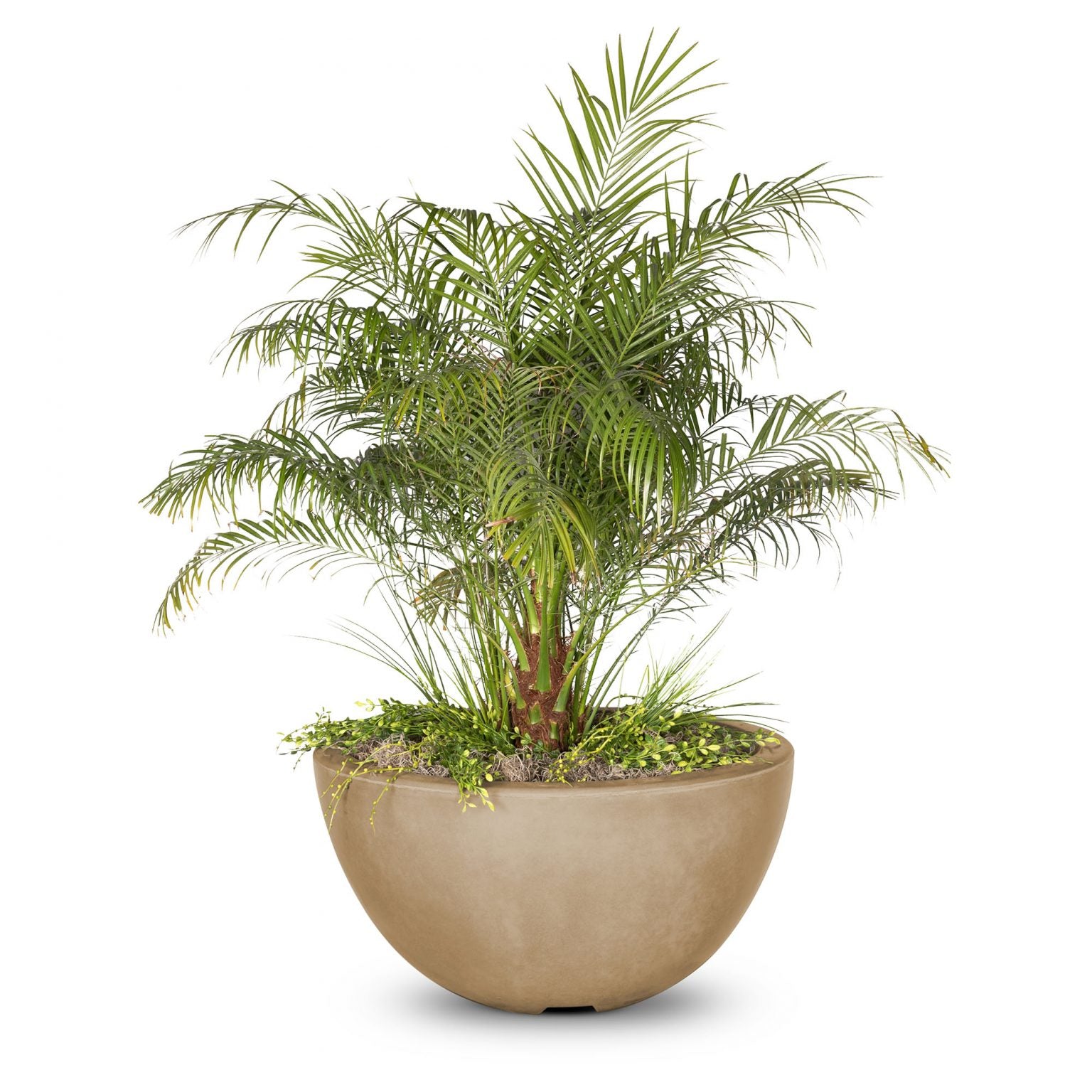 The Outdoor Plus Luna Planter Bowl GFRC Concrete OPT-LUNPOXX - Serenity Provision