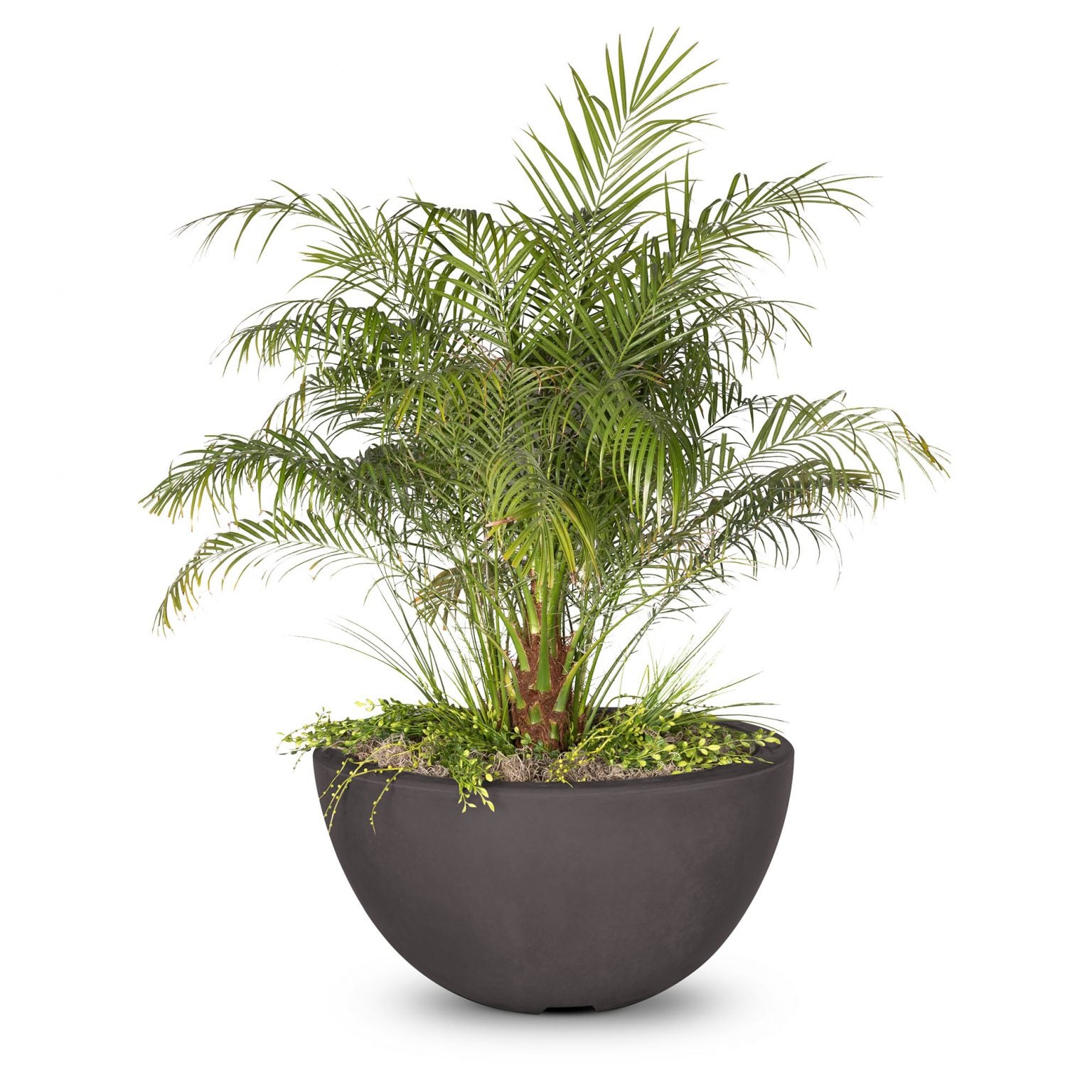 The Outdoor Plus Luna Planter Bowl GFRC Concrete OPT-LUNPOXX - Serenity Provision