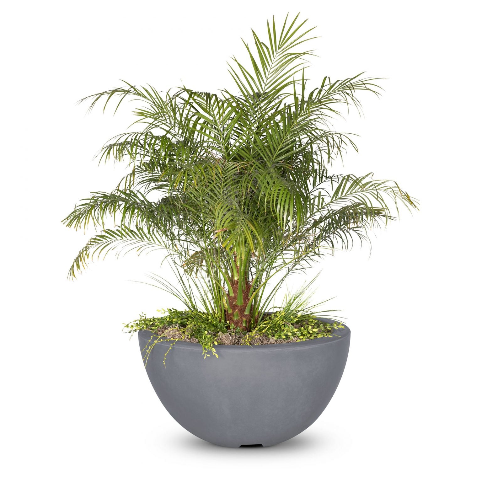 The Outdoor Plus Luna Planter Bowl GFRC Concrete OPT-LUNPOXX - Serenity Provision