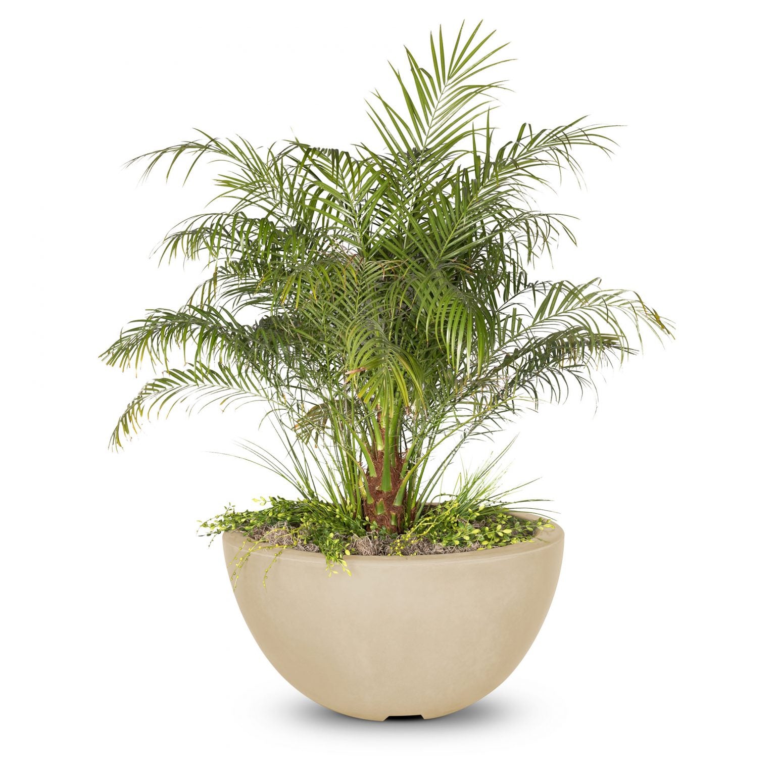 The Outdoor Plus Luna Planter Bowl GFRC Concrete OPT-LUNPOXX - Serenity Provision