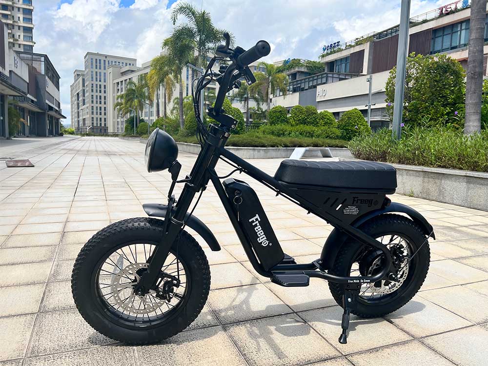 Freego Mini Fat Tire Electric Motorcycle