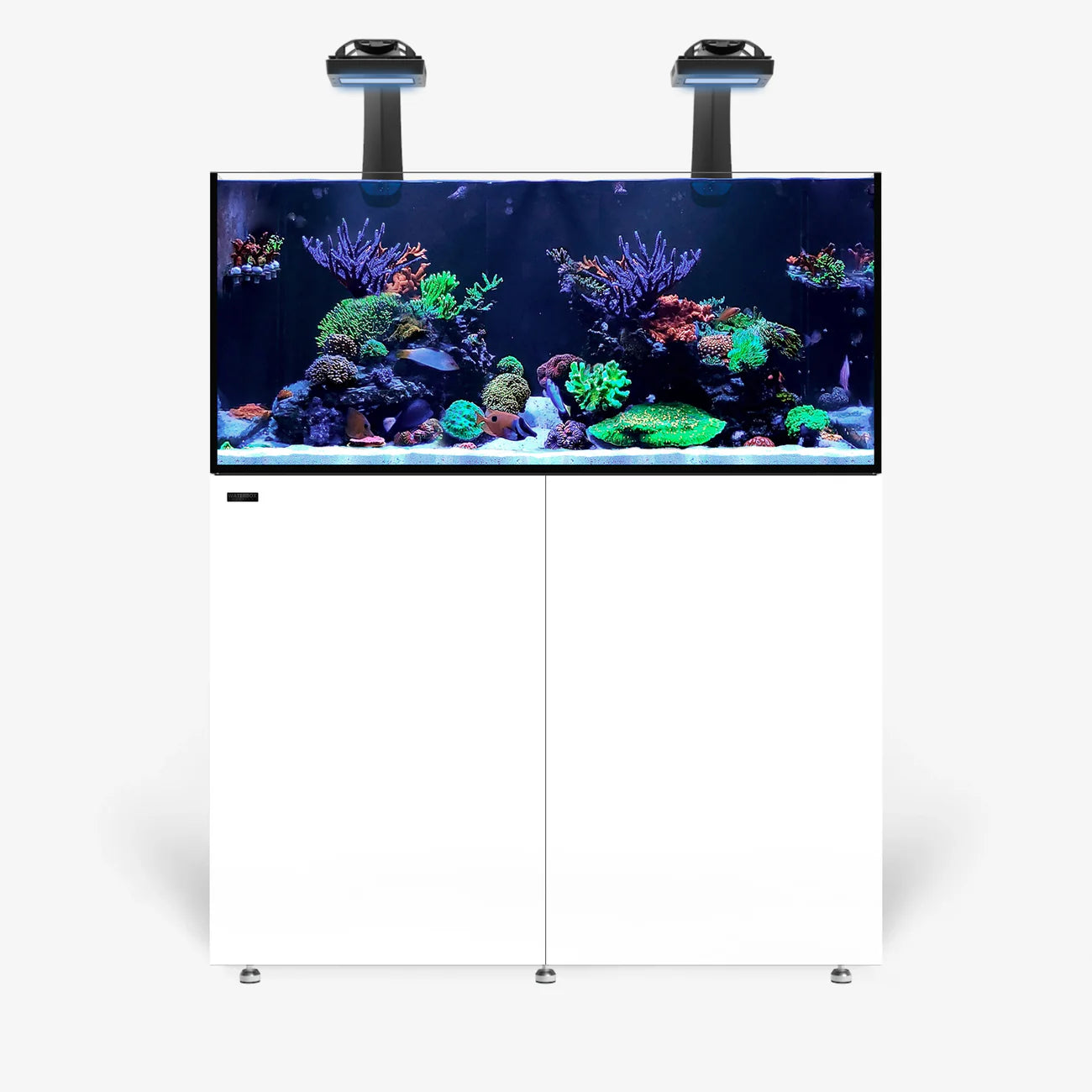 Waterbox Infinia Reef 150.4 Saltwater Aquarium - D3000 - Serenity Provision