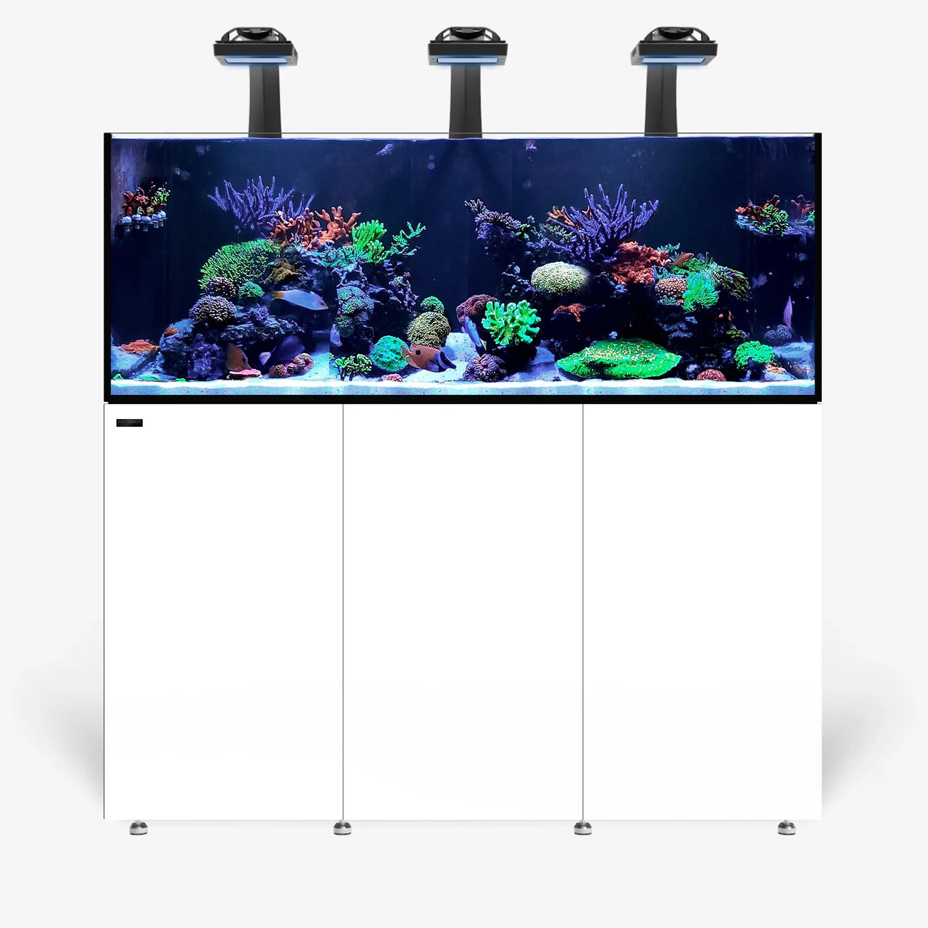 Waterbox Infinia Reef 190.5 Saltwater Aquarium - D3010 - Serenity Provision