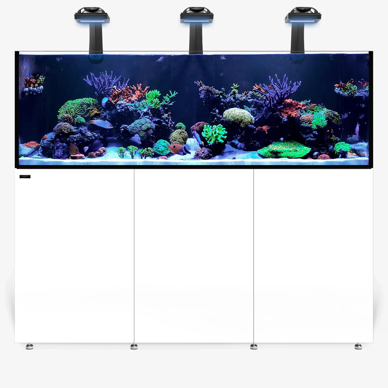 Waterbox Infinia Reef 230.6 Saltwater Aquarium - D3020 - Serenity Provision